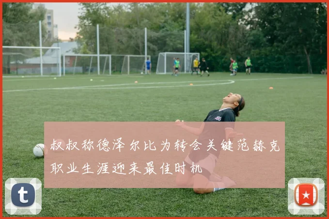 叔叔称德泽尔比为转会关键范赫克职业生涯迎来最佳时机